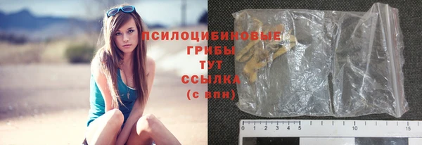 гидра Бронницы