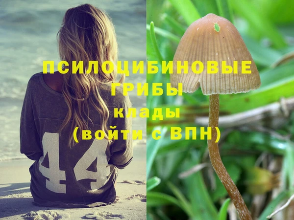 спайс Бородино