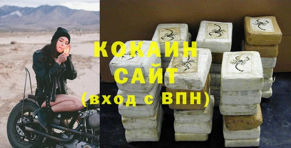 гидра Бронницы