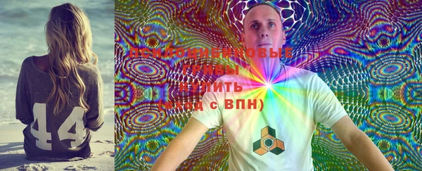 спайс Бородино