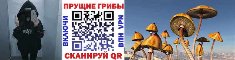 как найти закладки  Неман  Галлюциногенные грибы MAGIC MUSHROOMS 